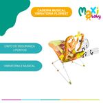 cadeirinha-balanco-bebe.jpg